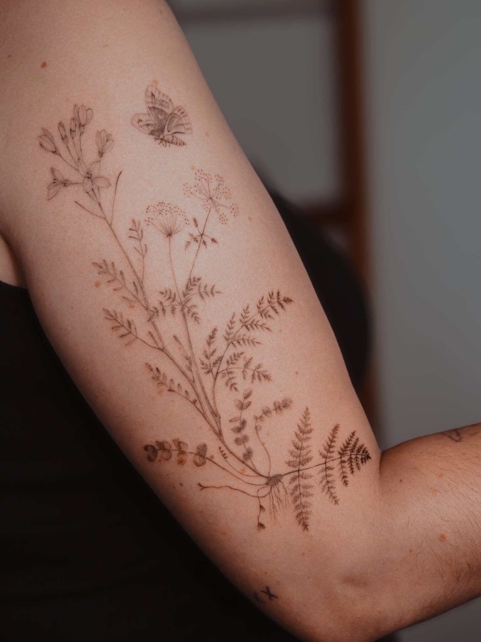 Fern and flowers – Fineline, Illustrativ von Cathi, Bloom at Night Köln