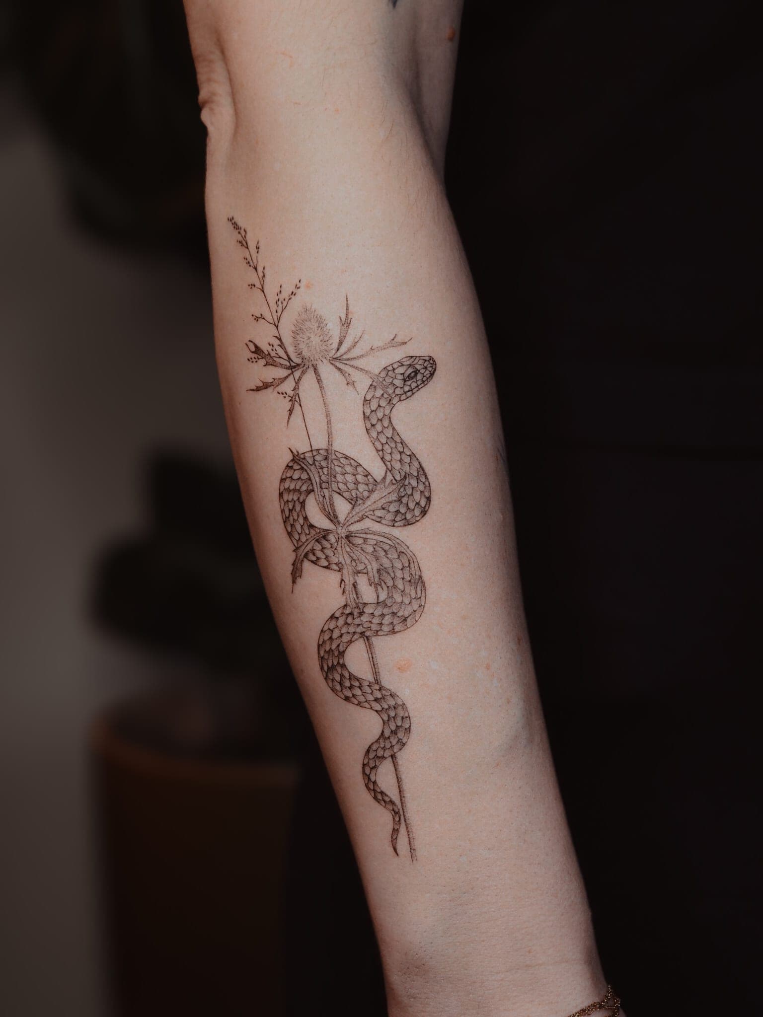Flower snake – Fineline, Illustrativ von Cathi, Bloom at Night Köln