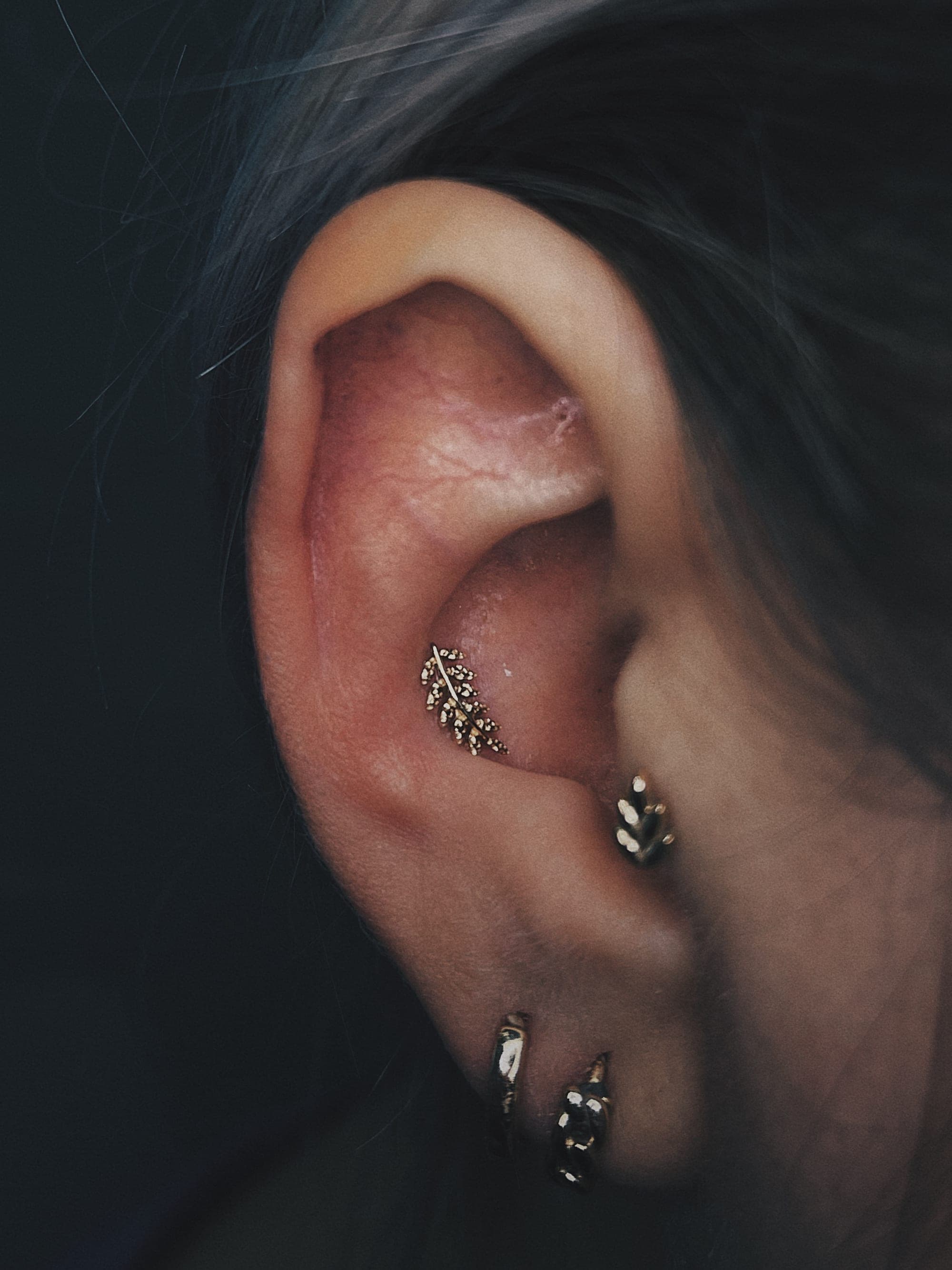 Conch Blatt – Piercings von Jenny, Bloom at Night Köln