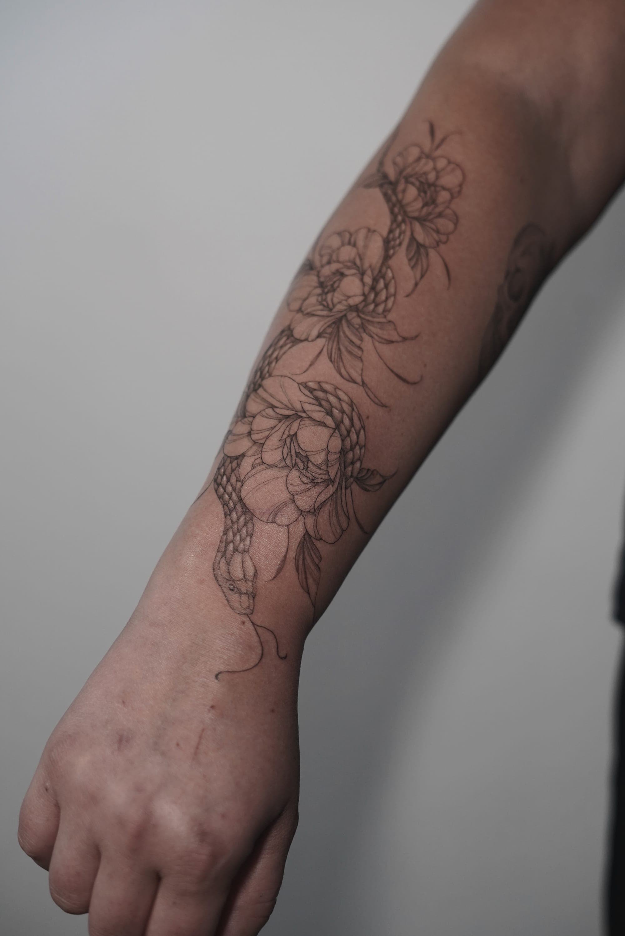 Floral Semirealismus – Fineline, Illustrativ, Linework, Mikrorealismus von Lena, Bloom at Night Köln