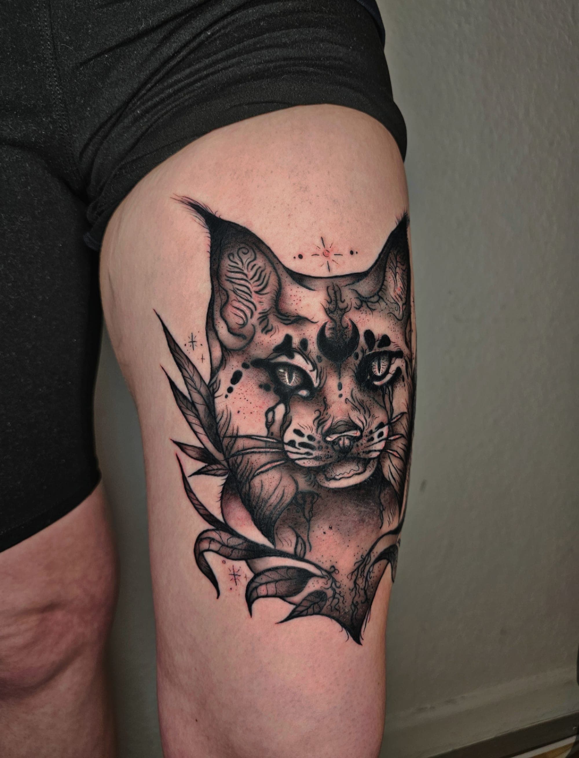 Luchs – Linework von Maya, Bloom at Night Köln
