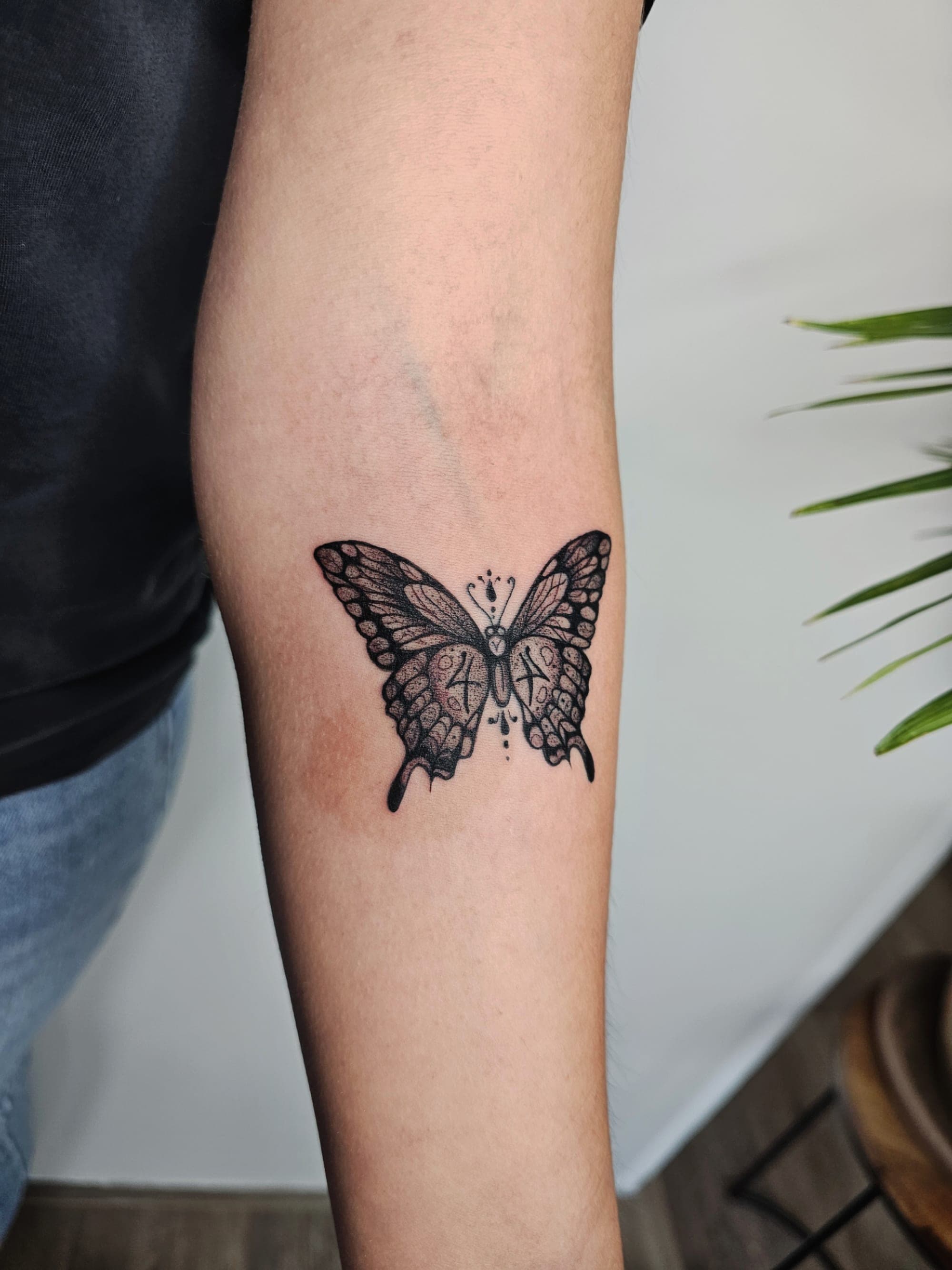 Schmetterling – Linework von Maya, Bloom at Night Köln