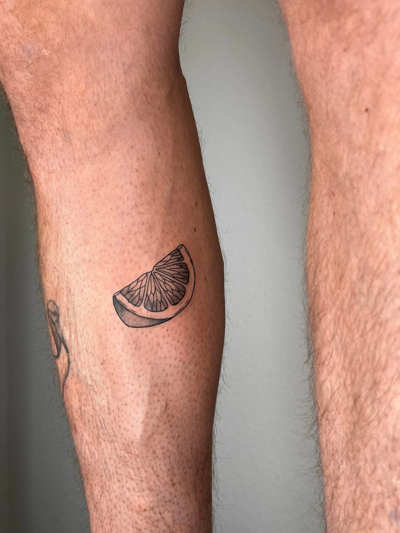 Grapefruit Slice – Linework von Mira, Bloom at Night Köln