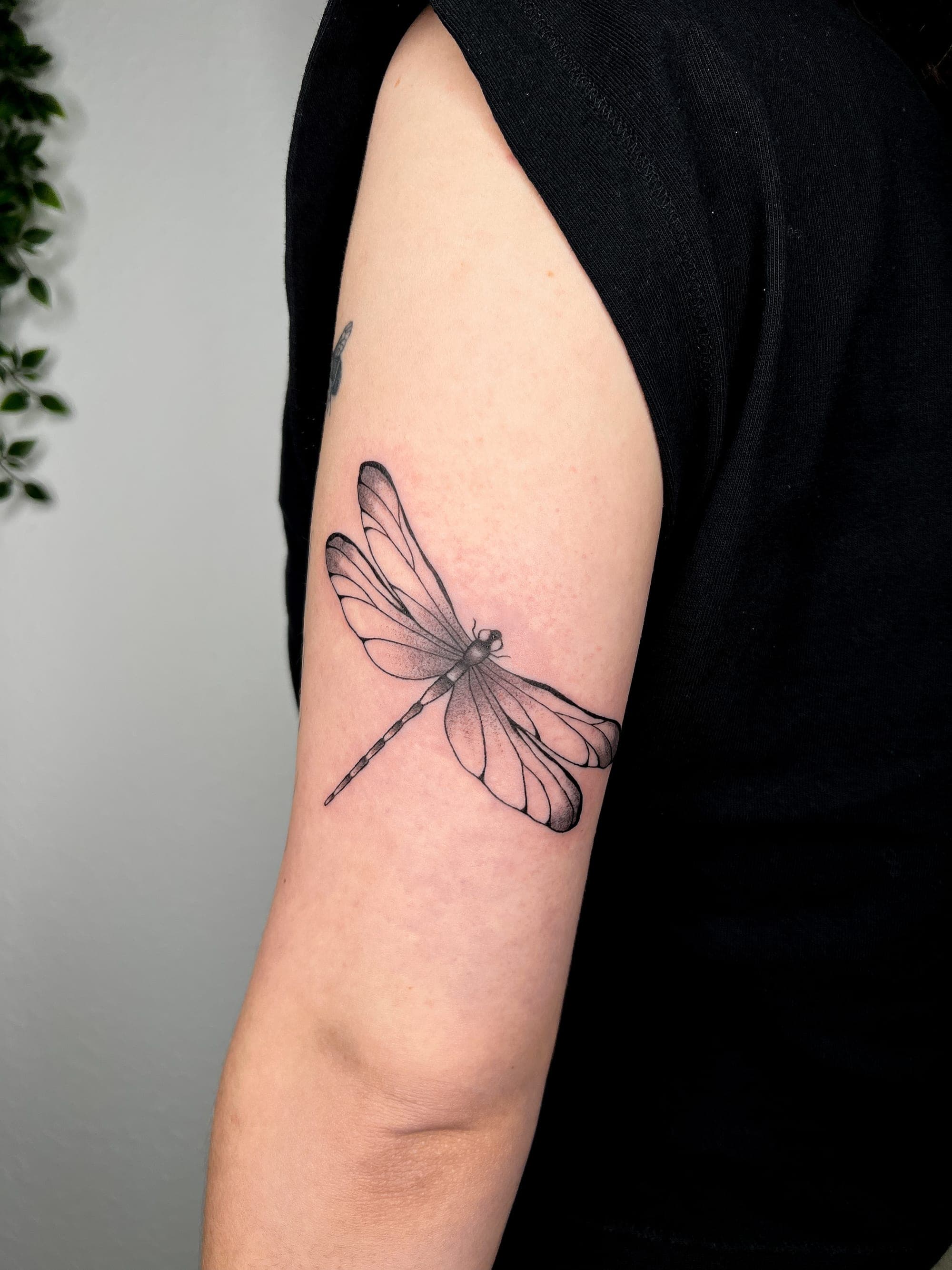 Libelle – Linework von Mira, Bloom at Night Köln