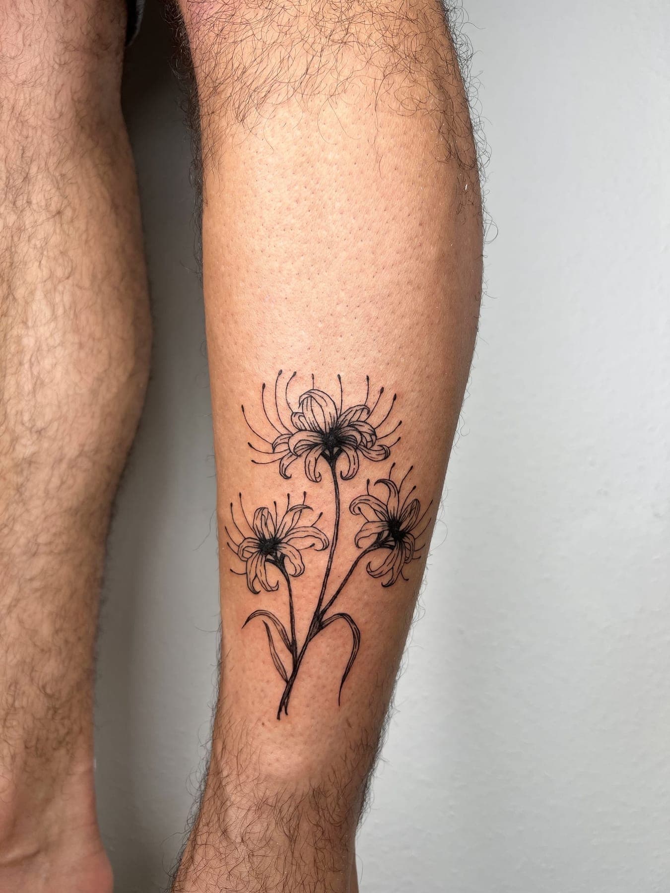 Spinnenlilie – Blackwork, Linework von Mira, Bloom at Night Köln