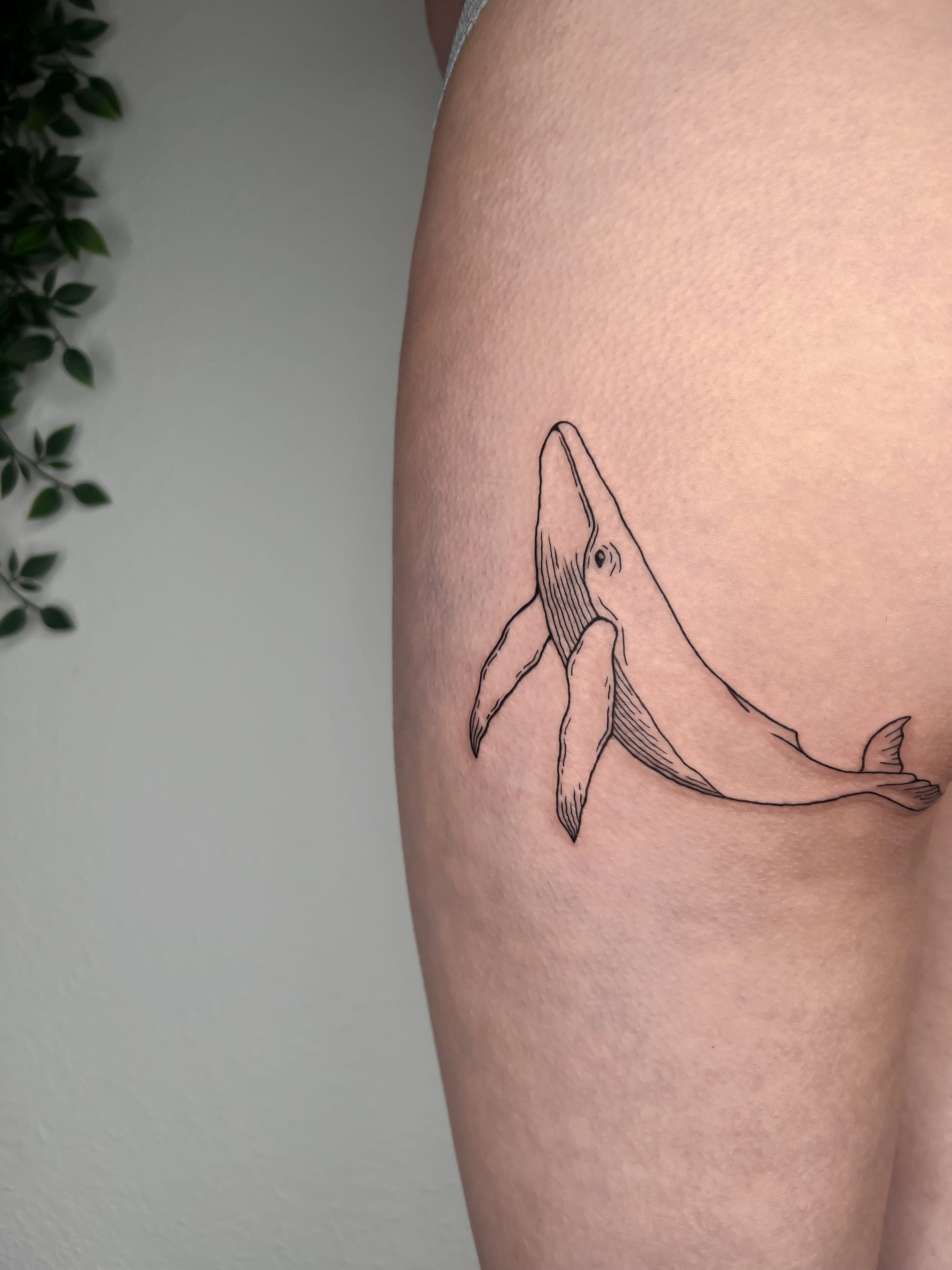 Wal – Fineline, Linework von Mira, Bloom at Night Köln