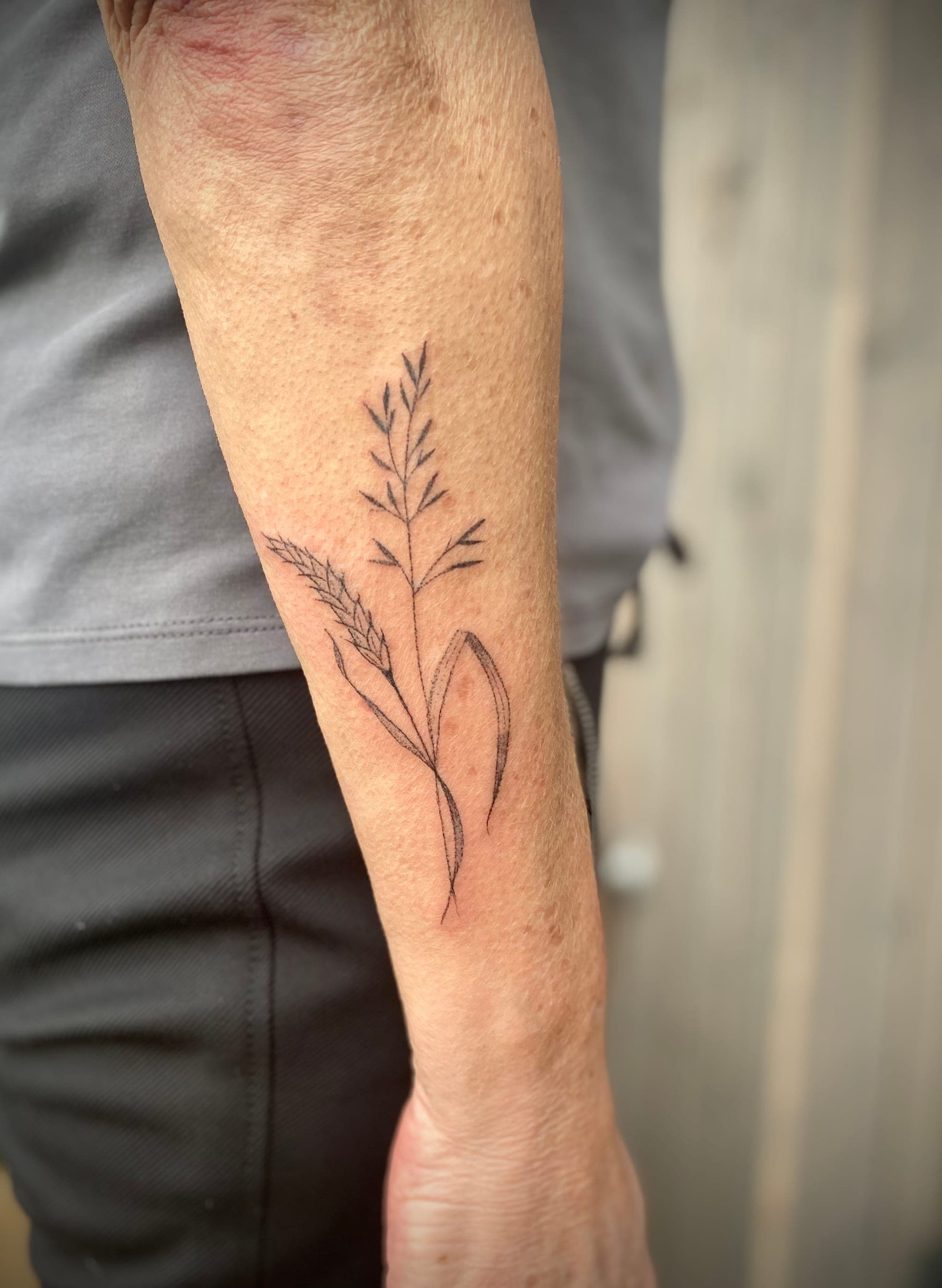 Gras und Ähre – Handpoke, Illustrativ von Sarah K., Bloom at Night Köln