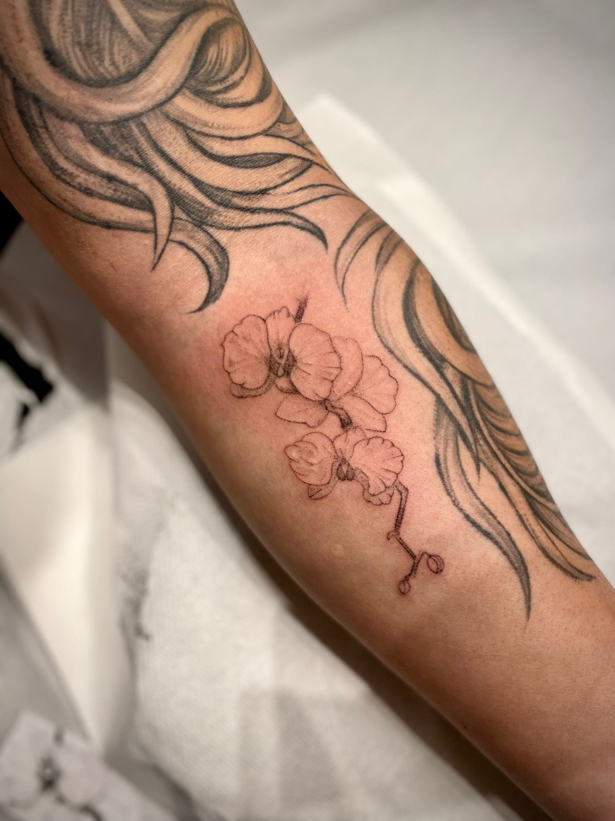 Orchidee – Handpoke, Illustrativ, Mikrorealismus von Sarah K., Bloom at Night Köln