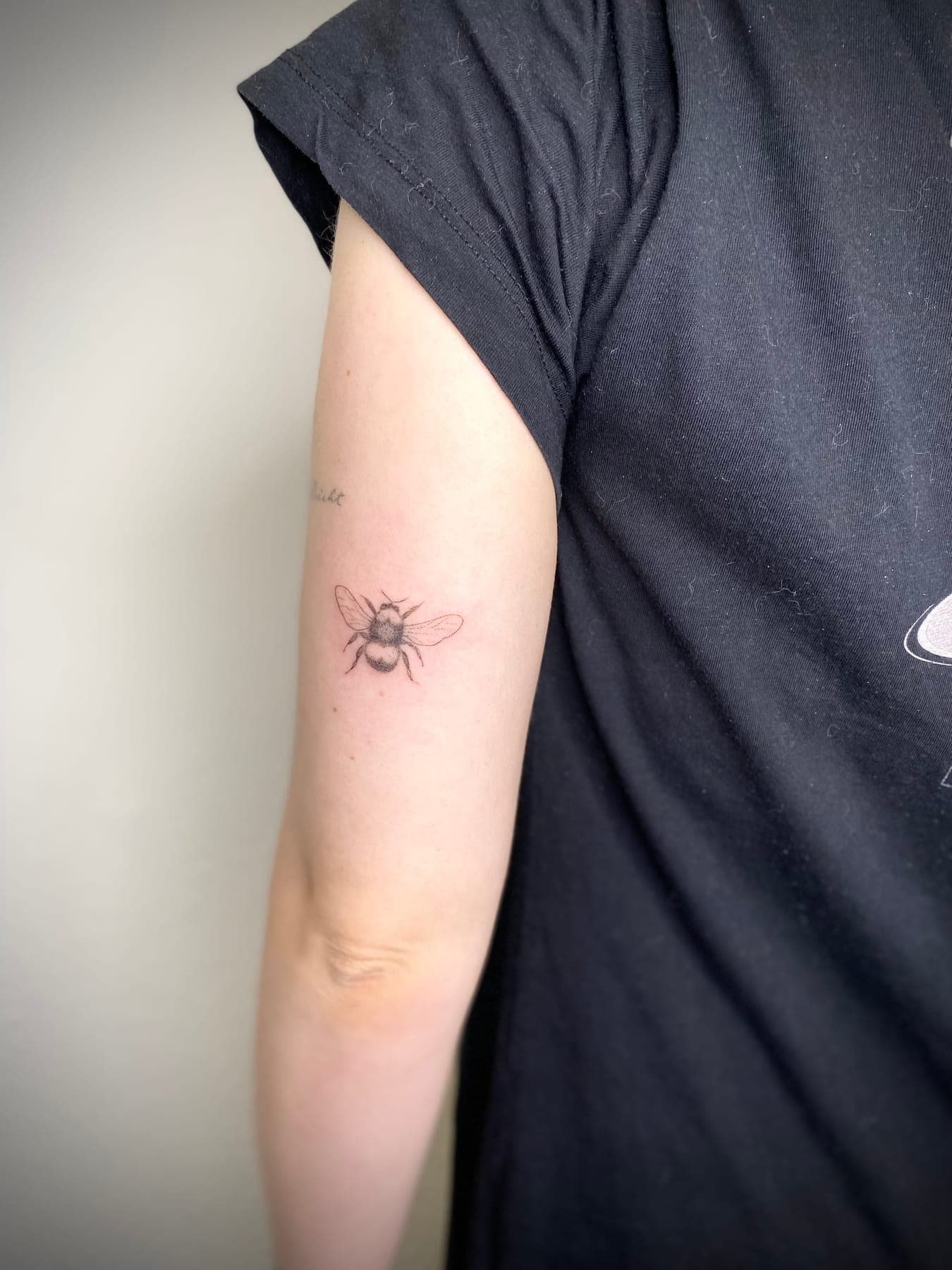 Hummel – Handpoke, Illustrativ, Mikrorealismus von Sarah K., Bloom at Night Köln